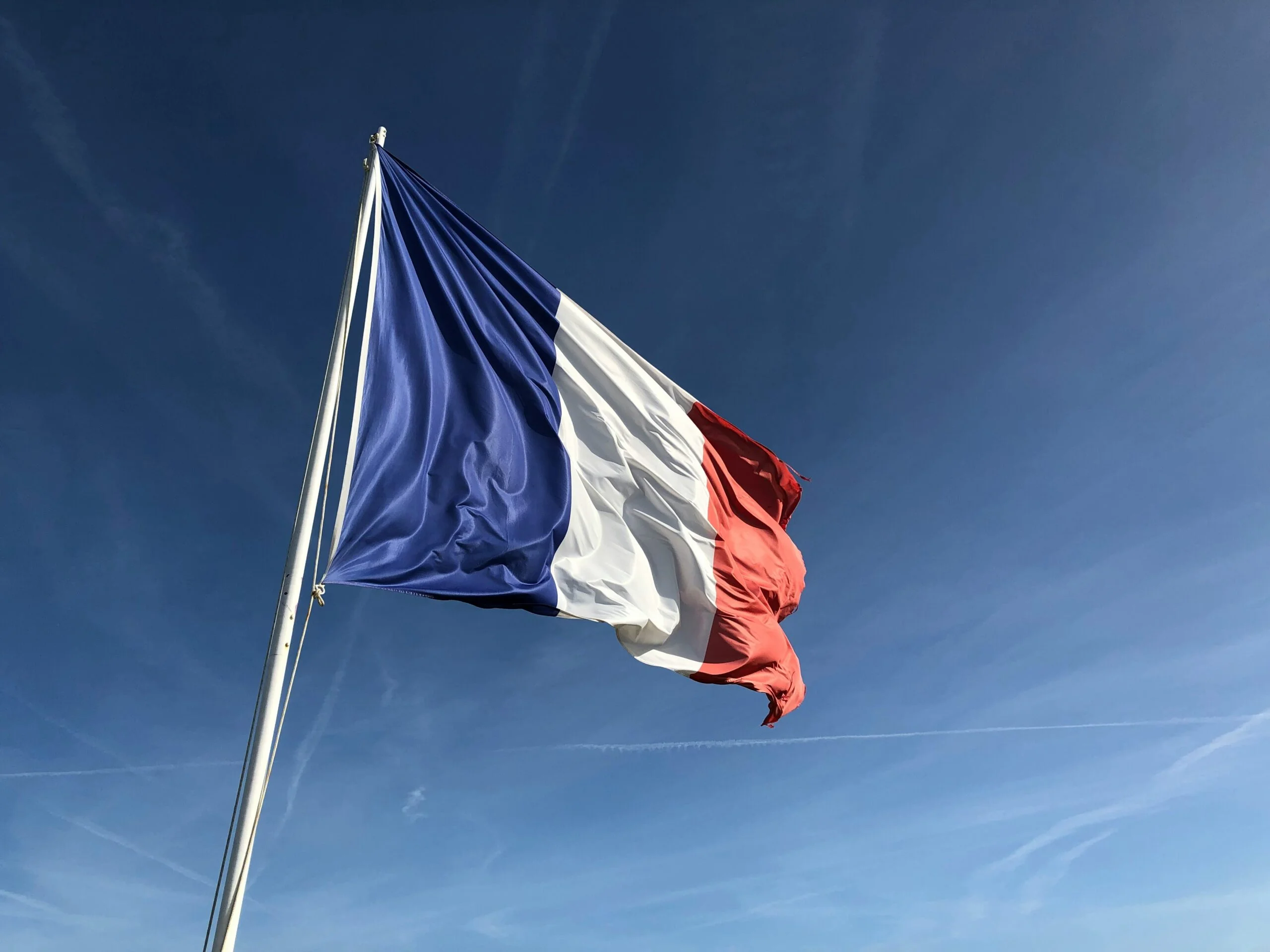 seo company in france scaled